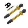 Barbieri Tubeless Ventil FV 45 Mm - 2 Stk - Gold - AD/PRE45GOL