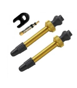Barbieri Tubeless Ventil FV 45 Mm - 2 Stk - Gold - AD/PRE45GOL